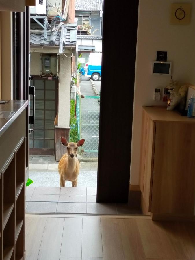 Mini Inn Nara- - 外国人向け - 日本人予約不可 ภายนอก รูปภาพ