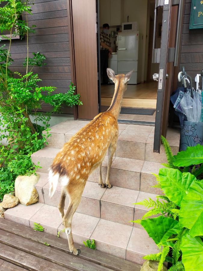 Mini Inn Nara- - 外国人向け - 日本人予約不可 ภายนอก รูปภาพ